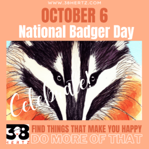 national badger day