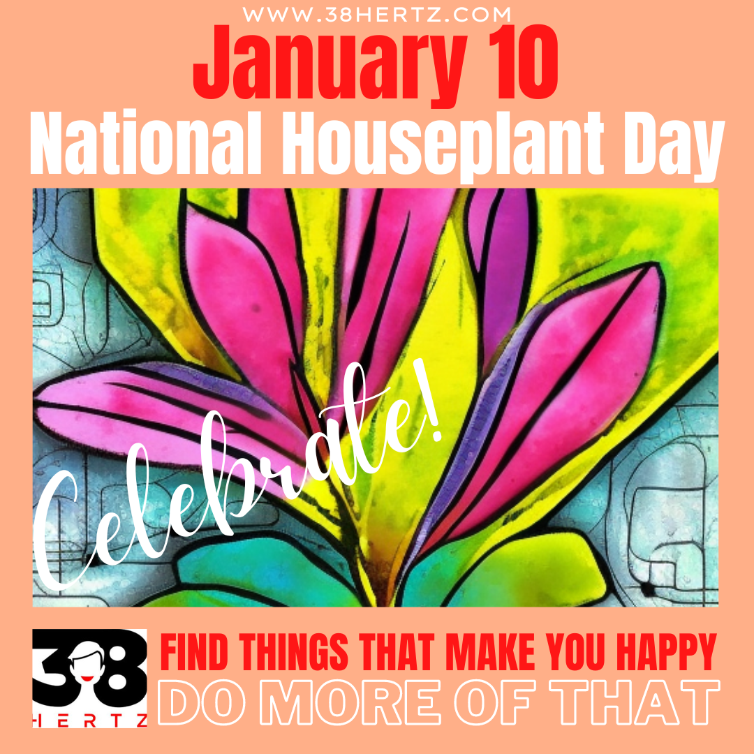January 10 National Houseplant Day 10 Amazing Benefits of Houseplants