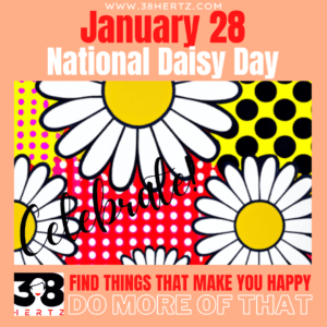 national daisy day