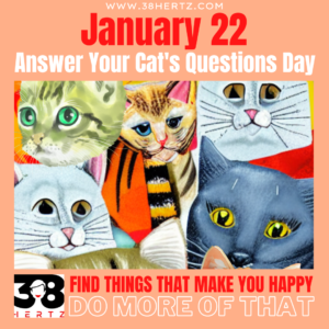 answer your cat's questions day