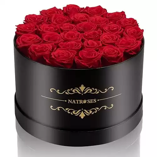 NATROSES Forever Preserved Roses in a Box, 100% Real Roses That Last Up to 3 Years, Preserved Flowers for Delivery Prime Birthday, Valentines Day Gifts for Her (Red)