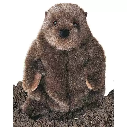 Douglas Chuckwood Groundhog Plush Stuffed Animal