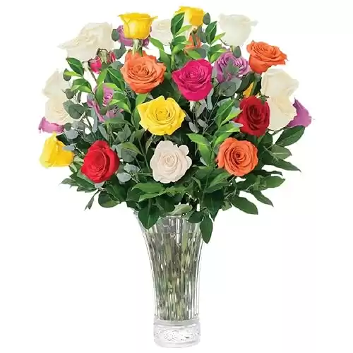 2 Dozen Assorted Roses Bouquet, Best Next-Day Fresh Flower for Delivery Prime, Ideal for Birthdays, Get Well Gift for Women, Anniversary, Sympathy, Congratulations, Thank You, Just because