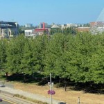 window-view-another-summer