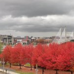 window-view-autumn-cloudy